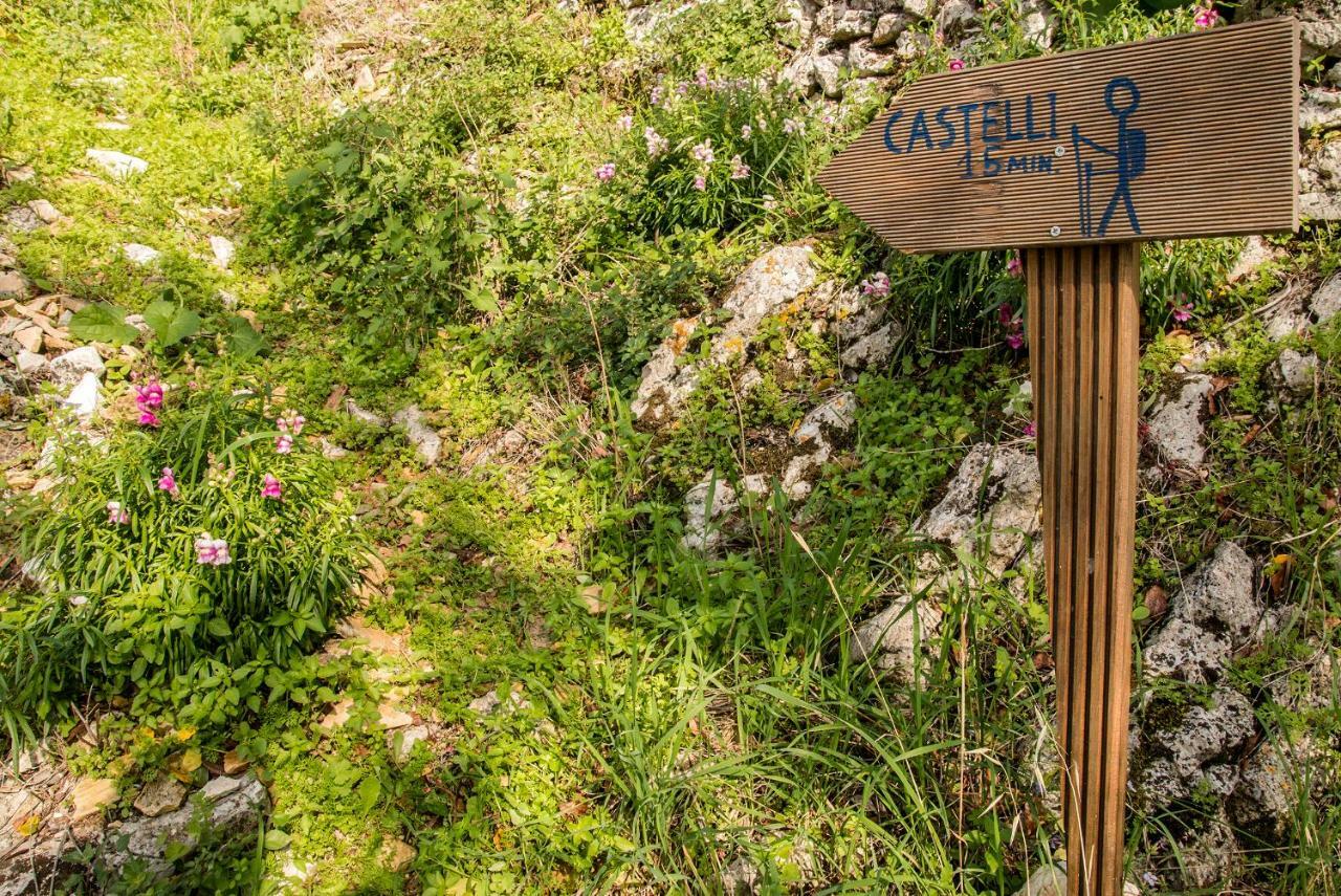 Castelli Olive Press Pension Acharavi  Buitenkant foto